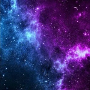 Meet your Posher, Curtis